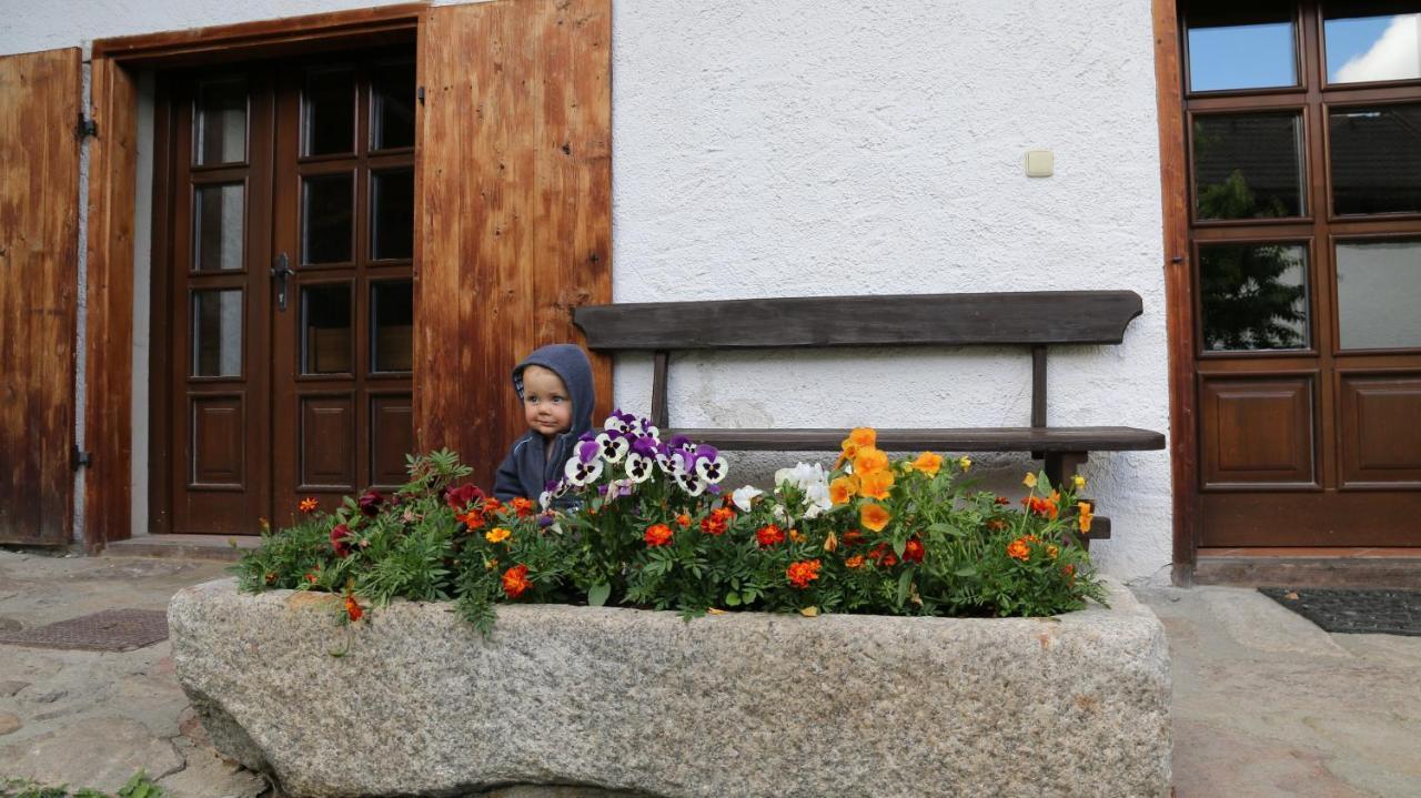 Penzion Mauritz Nová Pec Zewnętrze zdjęcie